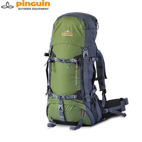 PNG 319149 - Рюкзак ACTIVENT 55 green