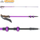 PNG 813135 - Палки трекінгові Ascent Light FL Cork violet
