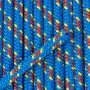 BC06.120.B - Репшнур Cordelette 6 мм blue (1 м)