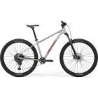 A62611A 01344 - Велосипед BIG.NINE 200 (2026) matt grey(glitter cherry) рама M